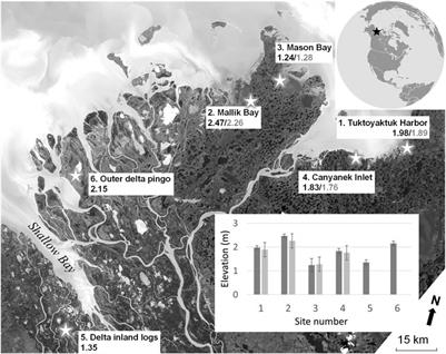 Assessment of Storm Surge History as Recorded by Driftwood in the Mackenzie Delta and Tuktoyaktuk Coastlands, Arctic Canada